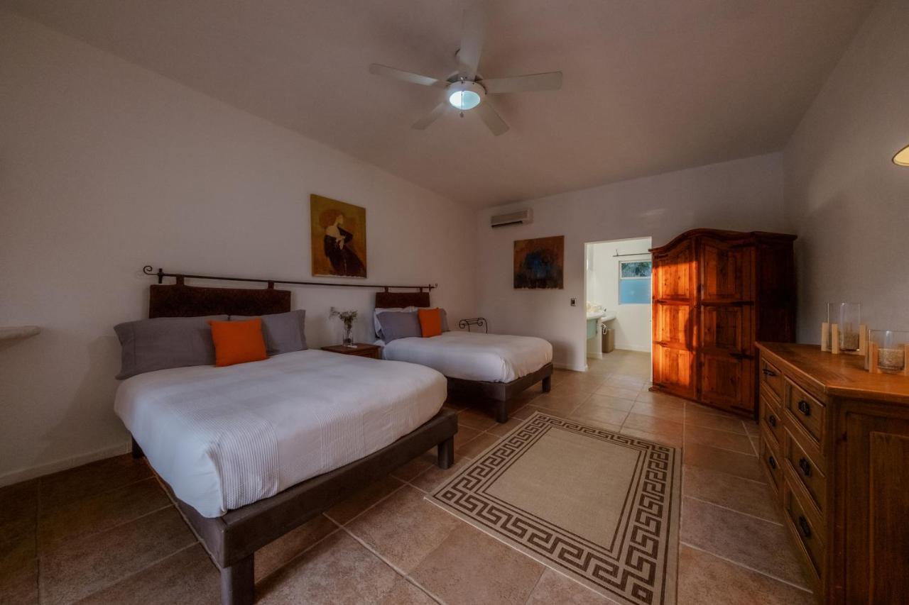 La Poza Boutique Hotel And Spa - Adults 15 Plus Todos Santos Exteriör bild