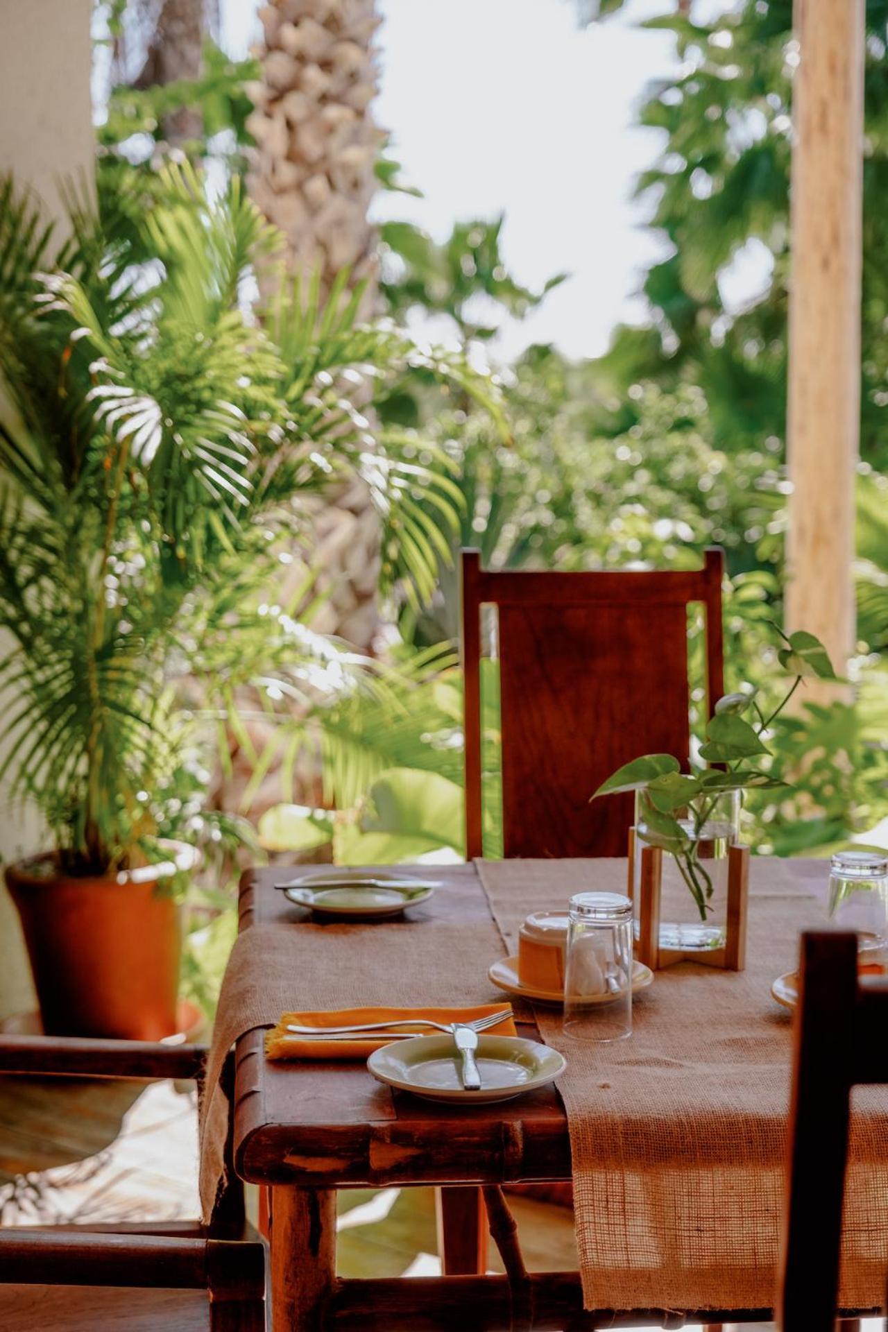 La Poza Boutique Hotel And Spa - Adults 15 Plus Todos Santos Exteriör bild