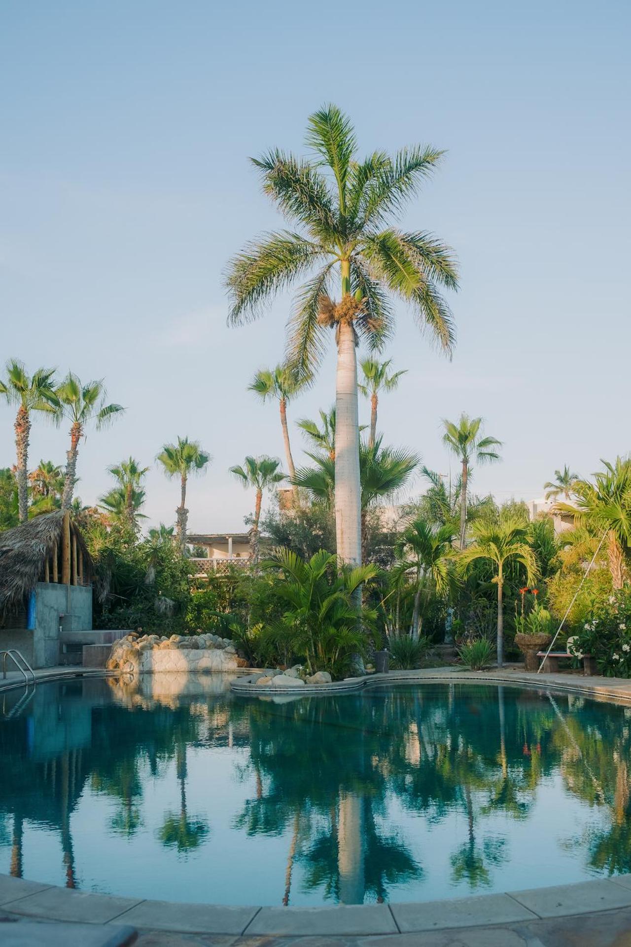 La Poza Boutique Hotel And Spa - Adults 15 Plus Todos Santos Exteriör bild