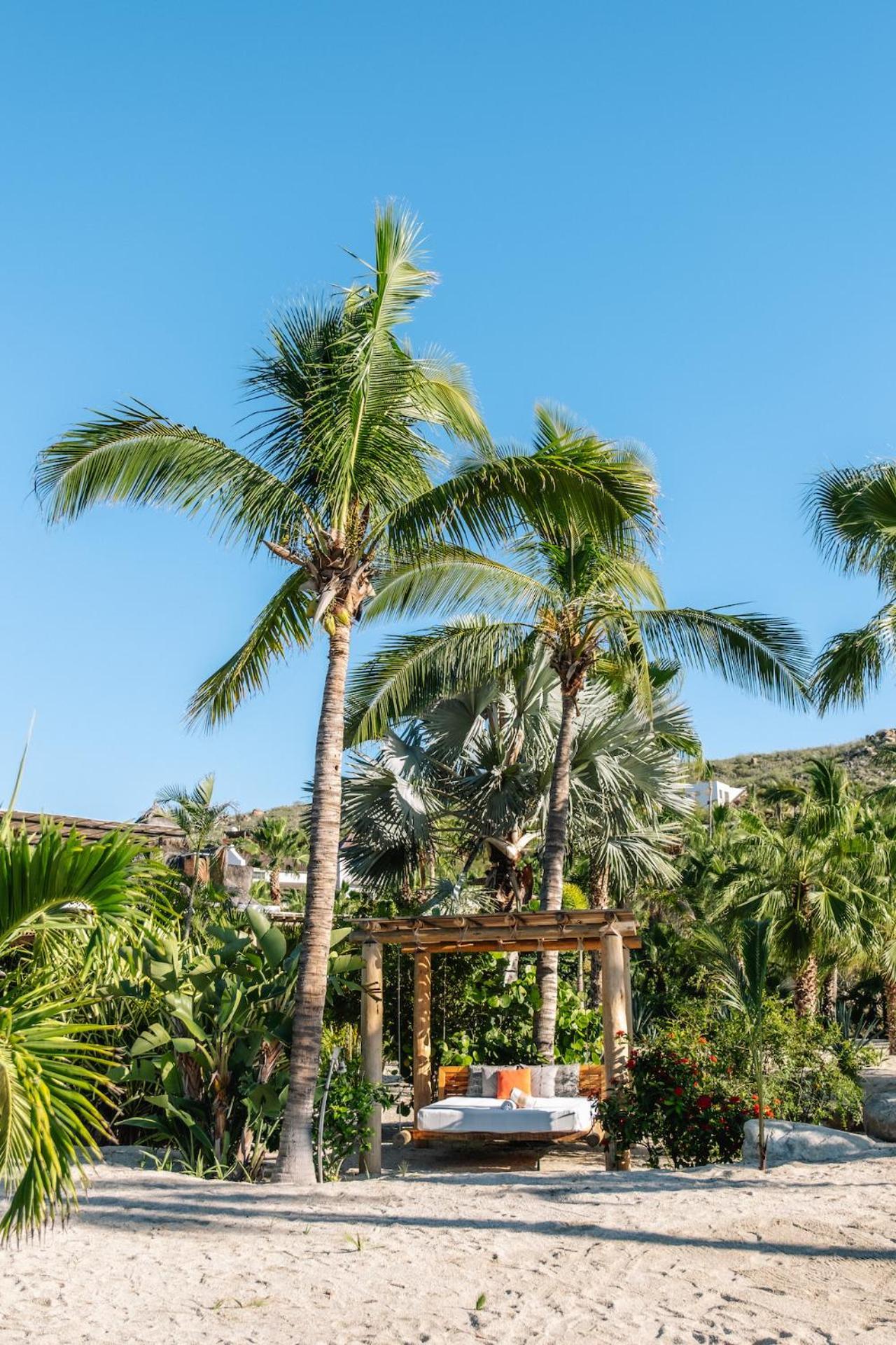 La Poza Boutique Hotel And Spa - Adults 15 Plus Todos Santos Exteriör bild